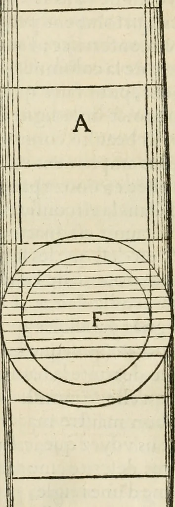 An illustration from L'architecture de Philibert de l'Orme, cõseillier & aumosnier ordinaire du roy, & abbé de S. Serge lez Angiers, 1576, leaf 297