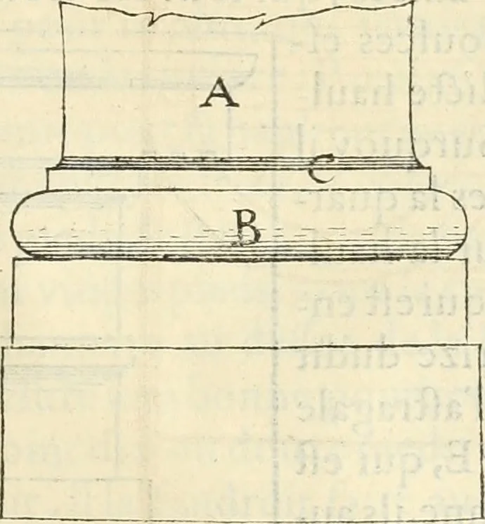An illustration from L'architecture de Philibert de l'Orme, cõseillier & aumosnier ordinaire du roy, & abbé de S. Serge lez Angiers, 1576, leaf 298
