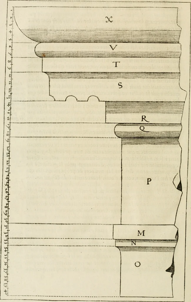 An illustration from L'architecture de Philibert de l'Orme, cõseillier & aumosnier ordinaire du roy, & abbé de S. Serge lez Angiers, 1576, leaf 309