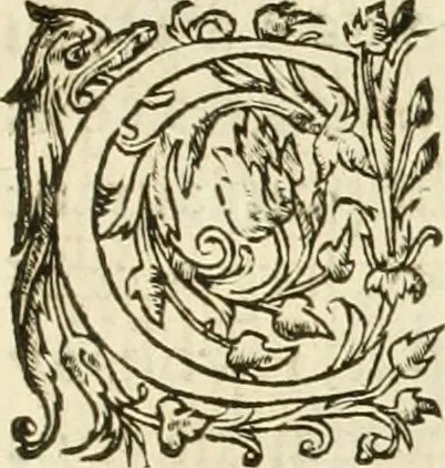 An illustration from L'architecture de Philibert de l'Orme, cõseillier & aumosnier ordinaire du roy, & abbé de S. Serge lez Angiers, 1576, leaf 318