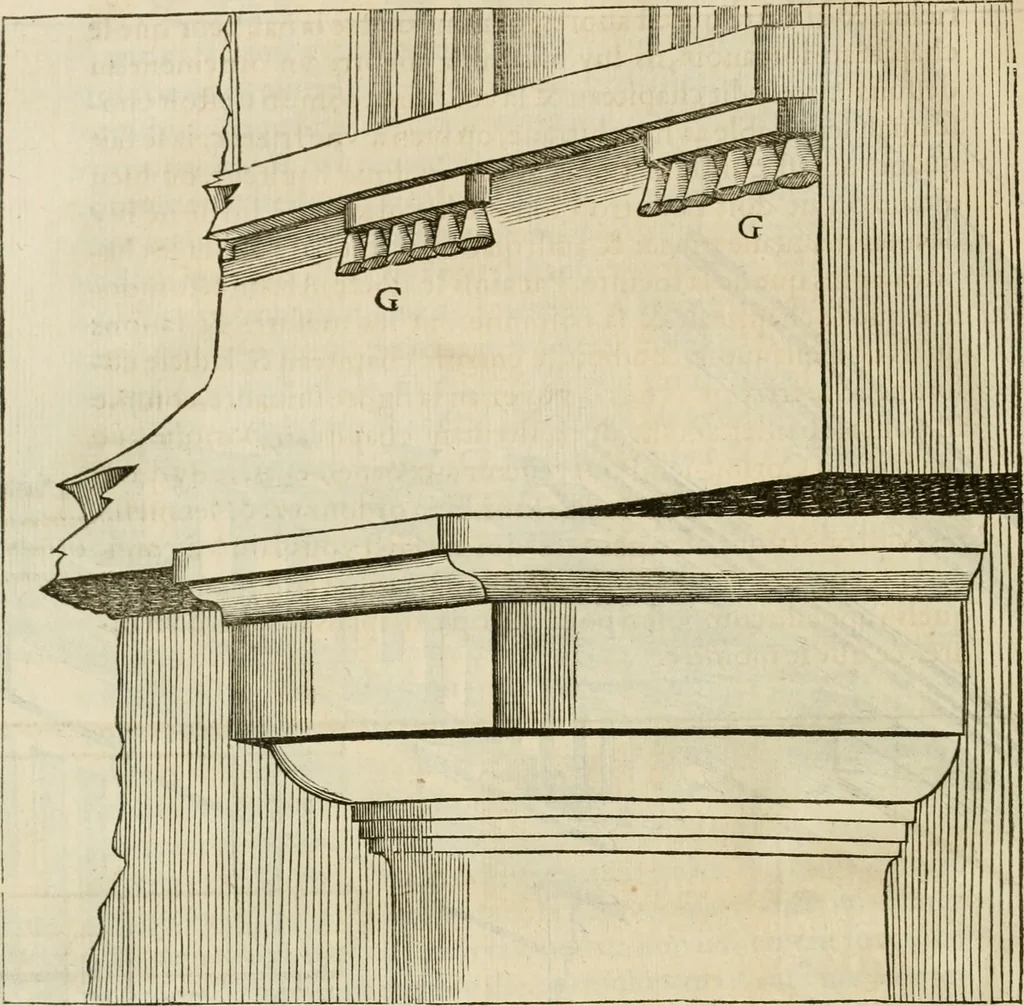 An illustration from L'architecture de Philibert de l'Orme, cõseillier & aumosnier ordinaire du roy, & abbé de S. Serge lez Angiers, 1576, leaf 329