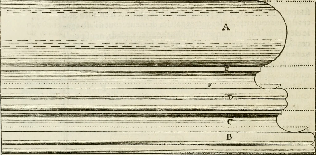 An illustration from L'architecture de Philibert de l'Orme, cõseillier & aumosnier ordinaire du roy, & abbé de S. Serge lez Angiers, 1576, leaf 341