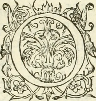 An illustration from L'architecture de Philibert de l'Orme, cõseillier & aumosnier ordinaire du roy, & abbé de S. Serge lez Angiers, 1576, leaf 350