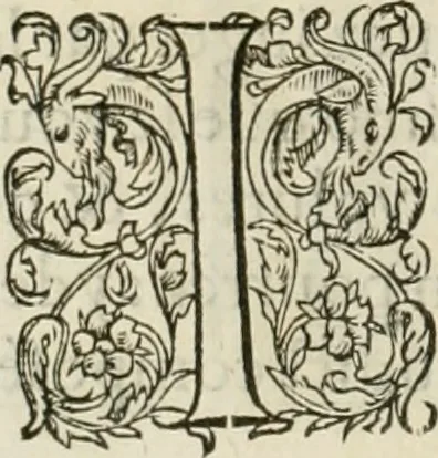 An illustration from L'architecture de Philibert de l'Orme, cõseillier & aumosnier ordinaire du roy, & abbé de S. Serge lez Angiers, 1576, leaf 359