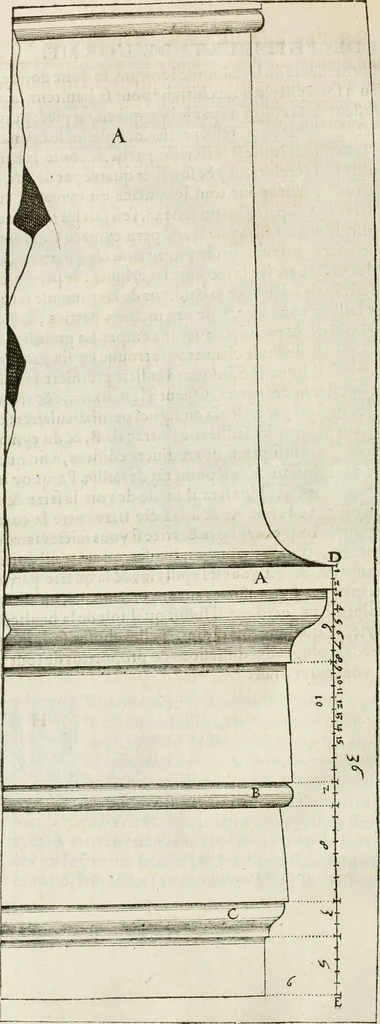 An illustration from L'architecture de Philibert de l'Orme, cõseillier & aumosnier ordinaire du roy, & abbé de S. Serge lez Angiers, 1576, leaf 361