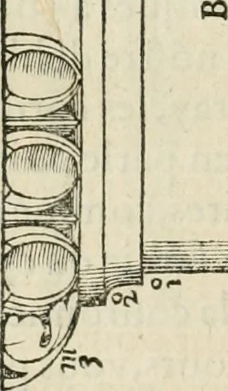 An illustration from L'architecture de Philibert de l'Orme, cõseillier & aumosnier ordinaire du roy, & abbé de S. Serge lez Angiers, 1576, leaf 369