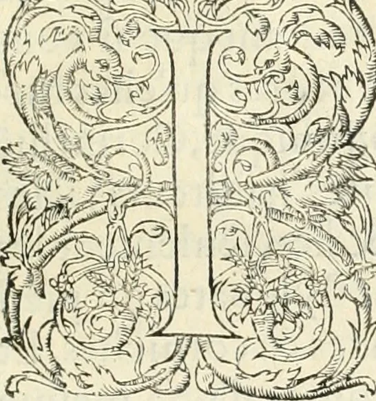 An illustration from L'architecture de Philibert de l'Orme, cõseillier & aumosnier ordinaire du roy, & abbé de S. Serge lez Angiers, 1576, leaf 372