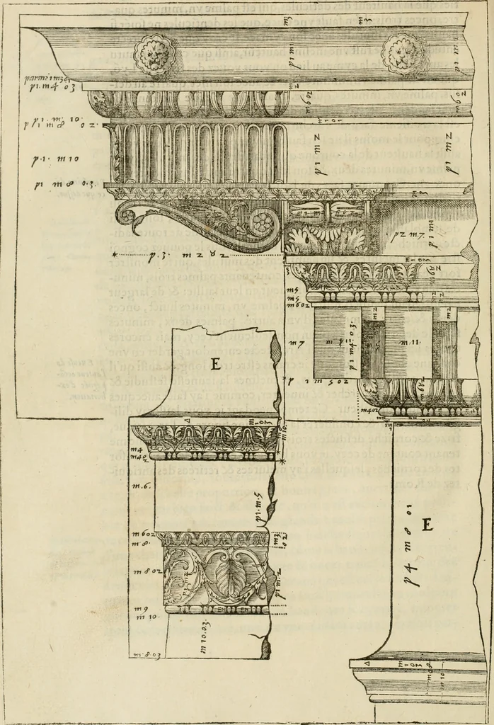 An illustration from L'architecture de Philibert de l'Orme, cõseillier & aumosnier ordinaire du roy, & abbé de S. Serge lez Angiers, 1576, leaf 419