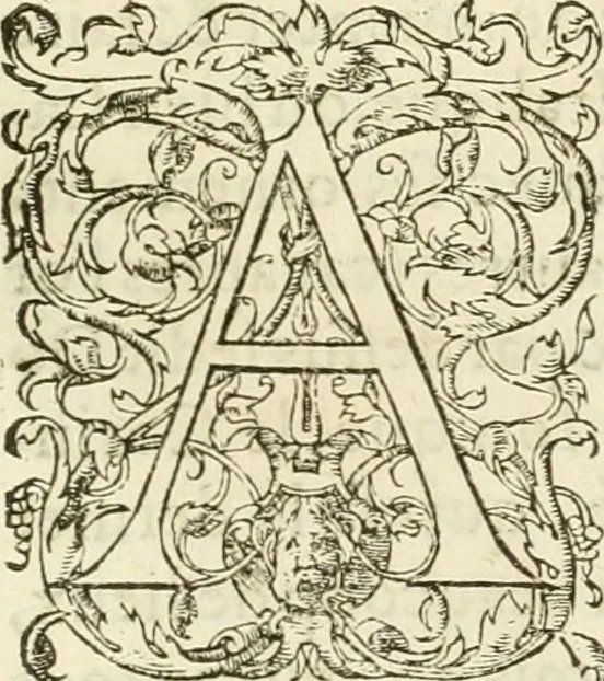 An illustration from L'architecture de Philibert de l'Orme, cõseillier & aumosnier ordinaire du roy, & abbé de S. Serge lez Angiers, 1576, leaf 428
