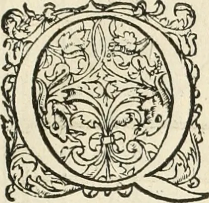 An illustration from L'architecture de Philibert de l'Orme, cõseillier & aumosnier ordinaire du roy, & abbé de S. Serge lez Angiers, 1576, leaf 436