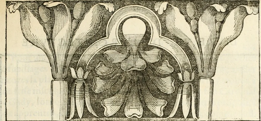 An illustration from L'architecture de Philibert de l'Orme, cõseillier & aumosnier ordinaire du roy, & abbé de S. Serge lez Angiers, 1576, leaf 452