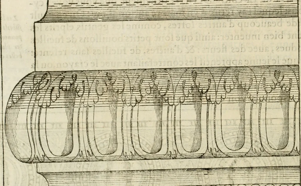 An illustration from L'architecture de Philibert de l'Orme, cõseillier & aumosnier ordinaire du roy, & abbé de S. Serge lez Angiers, 1576, leaf 453