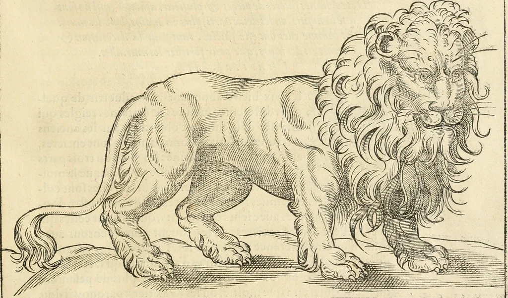 An illustration from L'architecture de Philibert de l'Orme, cõseillier & aumosnier ordinaire du roy, & abbé de S. Serge lez Angiers, 1576, leaf 456
