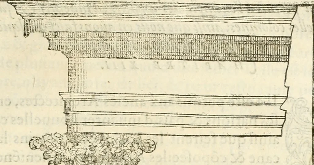 An illustration from L'architecture de Philibert de l'Orme, cõseillier & aumosnier ordinaire du roy, & abbé de S. Serge lez Angiers, 1576, leaf 462