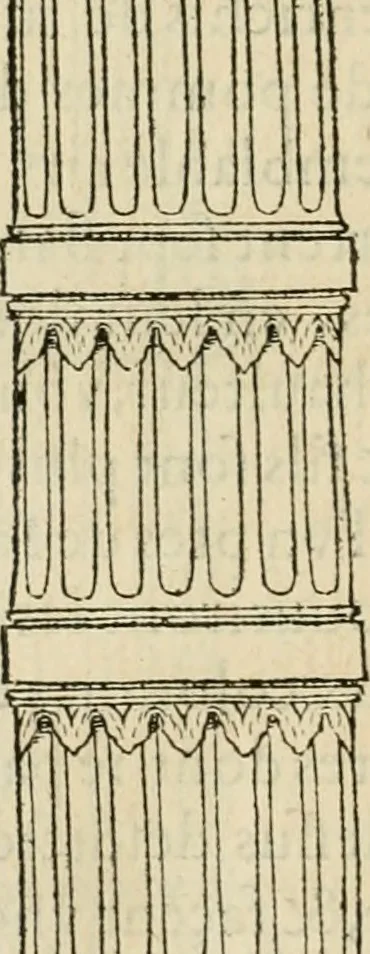 An illustration from L'architecture de Philibert de l'Orme, cõseillier & aumosnier ordinaire du roy, & abbé de S. Serge lez Angiers, 1576, leaf 467