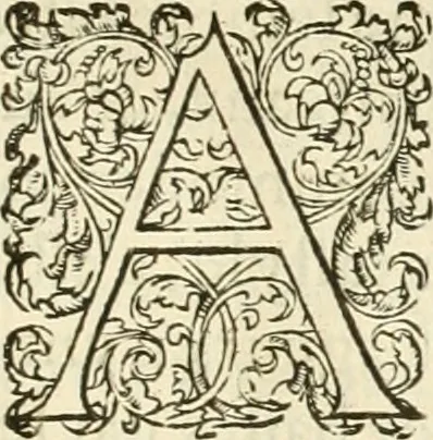 An illustration from L'architecture de Philibert de l'Orme, cõseillier & aumosnier ordinaire du roy, & abbé de S. Serge lez Angiers, 1576, leaf 470