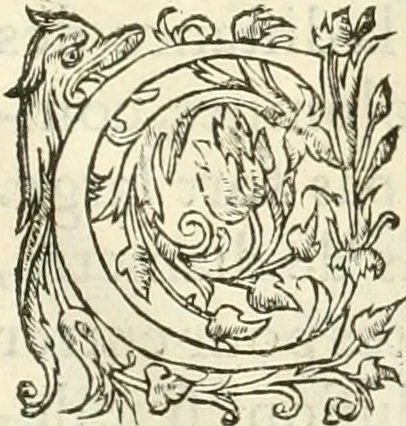 An illustration from L'architecture de Philibert de l'Orme, cõseillier & aumosnier ordinaire du roy, & abbé de S. Serge lez Angiers, 1576, leaf 480