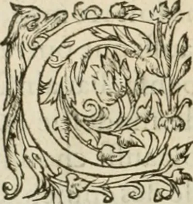 An illustration from L'architecture de Philibert de l'Orme, cõseillier & aumosnier ordinaire du roy, & abbé de S. Serge lez Angiers, 1576, leaf 49