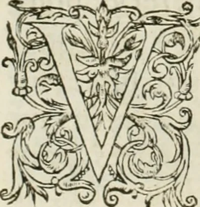 An illustration from L'architecture de Philibert de l'Orme, cõseillier & aumosnier ordinaire du roy, & abbé de S. Serge lez Angiers, 1576, leaf 493