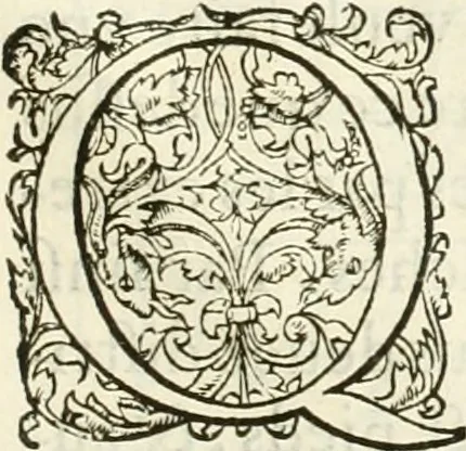 An illustration from L'architecture de Philibert de l'Orme, cõseillier & aumosnier ordinaire du roy, & abbé de S. Serge lez Angiers, 1576, leaf 496