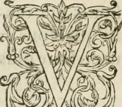 An illustration from L'architecture de Philibert de l'Orme, cõseillier & aumosnier ordinaire du roy, & abbé de S. Serge lez Angiers, 1576, leaf 499