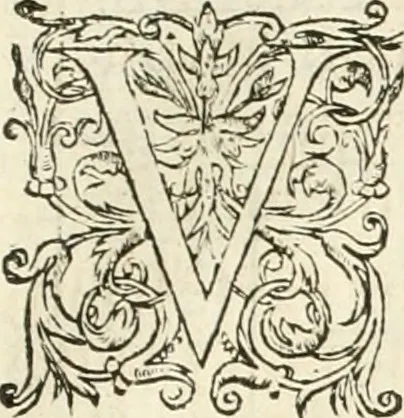 An illustration from L'architecture de Philibert de l'Orme, cõseillier & aumosnier ordinaire du roy, & abbé de S. Serge lez Angiers, 1576, leaf 502