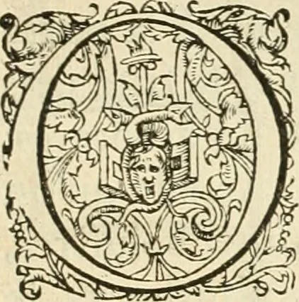An illustration from L'architecture de Philibert de l'Orme, cõseillier & aumosnier ordinaire du roy, & abbé de S. Serge lez Angiers, 1576, leaf 506