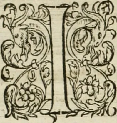 An illustration from L'architecture de Philibert de l'Orme, cõseillier & aumosnier ordinaire du roy, & abbé de S. Serge lez Angiers, 1576, leaf 509