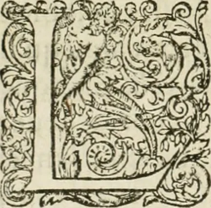 An illustration from L'architecture de Philibert de l'Orme, cõseillier & aumosnier ordinaire du roy, & abbé de S. Serge lez Angiers, 1576, leaf 529