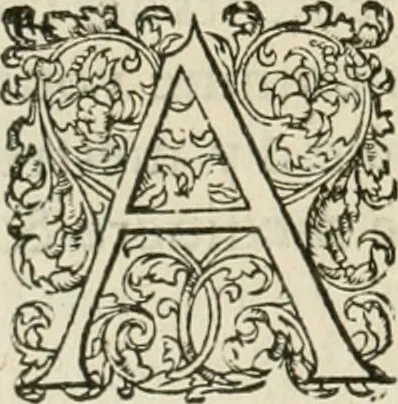 An illustration from L'architecture de Philibert de l'Orme, cõseillier & aumosnier ordinaire du roy, & abbé de S. Serge lez Angiers, 1576, leaf 531