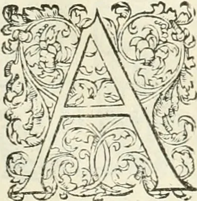 An illustration from L'architecture de Philibert de l'Orme, cõseillier & aumosnier ordinaire du roy, & abbé de S. Serge lez Angiers, 1576, leaf 538
