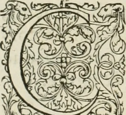 An illustration from L'architecture de Philibert de l'Orme, cõseillier & aumosnier ordinaire du roy, & abbé de S. Serge lez Angiers, 1576, leaf 555