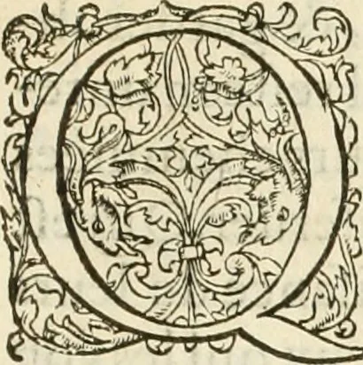 An illustration from L'architecture de Philibert de l'Orme, cõseillier & aumosnier ordinaire du roy, & abbé de S. Serge lez Angiers, 1576, leaf 564