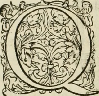 An illustration from L'architecture de Philibert de l'Orme, cõseillier & aumosnier ordinaire du roy, & abbé de S. Serge lez Angiers, 1576, leaf 583