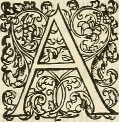 An illustration from L'architecture de Philibert de l'Orme, cõseillier & aumosnier ordinaire du roy, & abbé de S. Serge lez Angiers, 1576, leaf 586