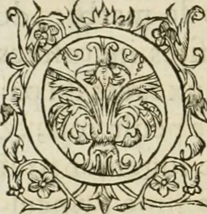 An illustration from L'architecture de Philibert de l'Orme, cõseillier & aumosnier ordinaire du roy, & abbé de S. Serge lez Angiers, 1576, leaf 63