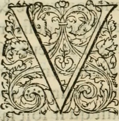 An illustration from L'architecture de Philibert de l'Orme, cõseillier & aumosnier ordinaire du roy, & abbé de S. Serge lez Angiers, 1576, leaf 67