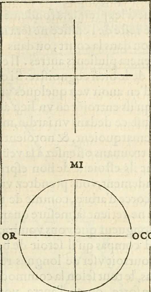 An illustration from L'architecture de Philibert de l'Orme, cõseillier & aumosnier ordinaire du roy, & abbé de S. Serge lez Angiers, 1576, leaf 88