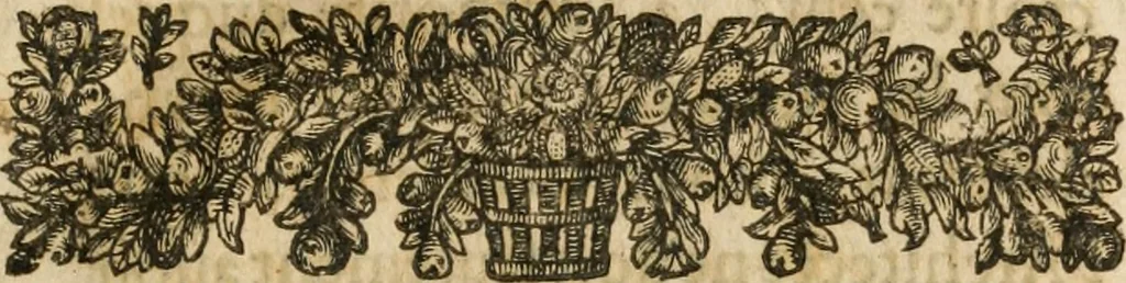 An illustration from L'architecture francoise des bastimens particuliers, 1642, leaf 12