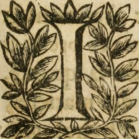 An illustration from L'architecture francoise des bastimens particuliers, 1642, leaf 12