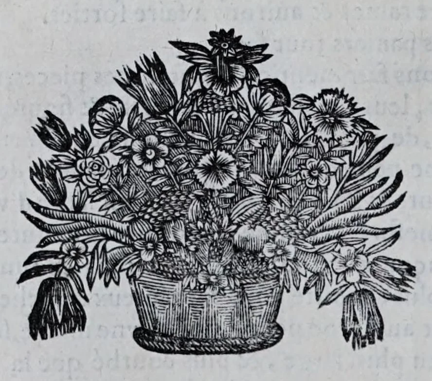 An illustration from L'architecture militaire, ou, La fortification nouuelle : augmentée et enrichie de forteresses regulieres, irregulieres, et de dehors : le tout a la practique moderne, 1668, leaf 114