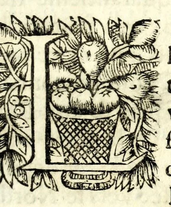 An illustration from L'architecture navale : contenant la maniere de construire les navires, galeres & chaloupes, & la definition de plusieurs autres especes de vaisseaux ..., 1677, leaf 239