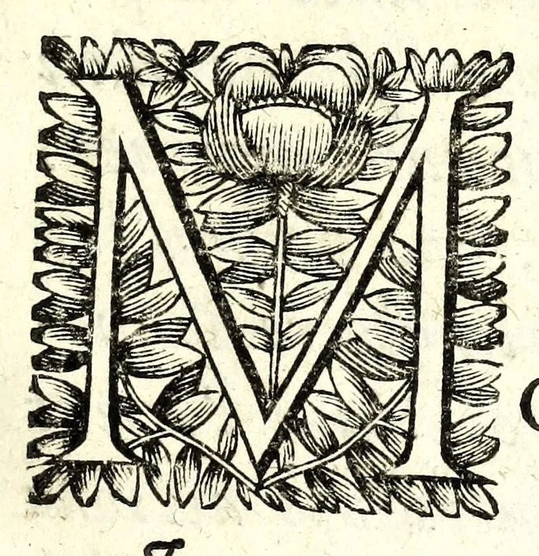 An illustration from L'architecture navale : contenant la maniere de construire les navires, galeres & chaloupes, & la definition de plusieurs autres especes de vaisseaux ..., 1677, leaf 9