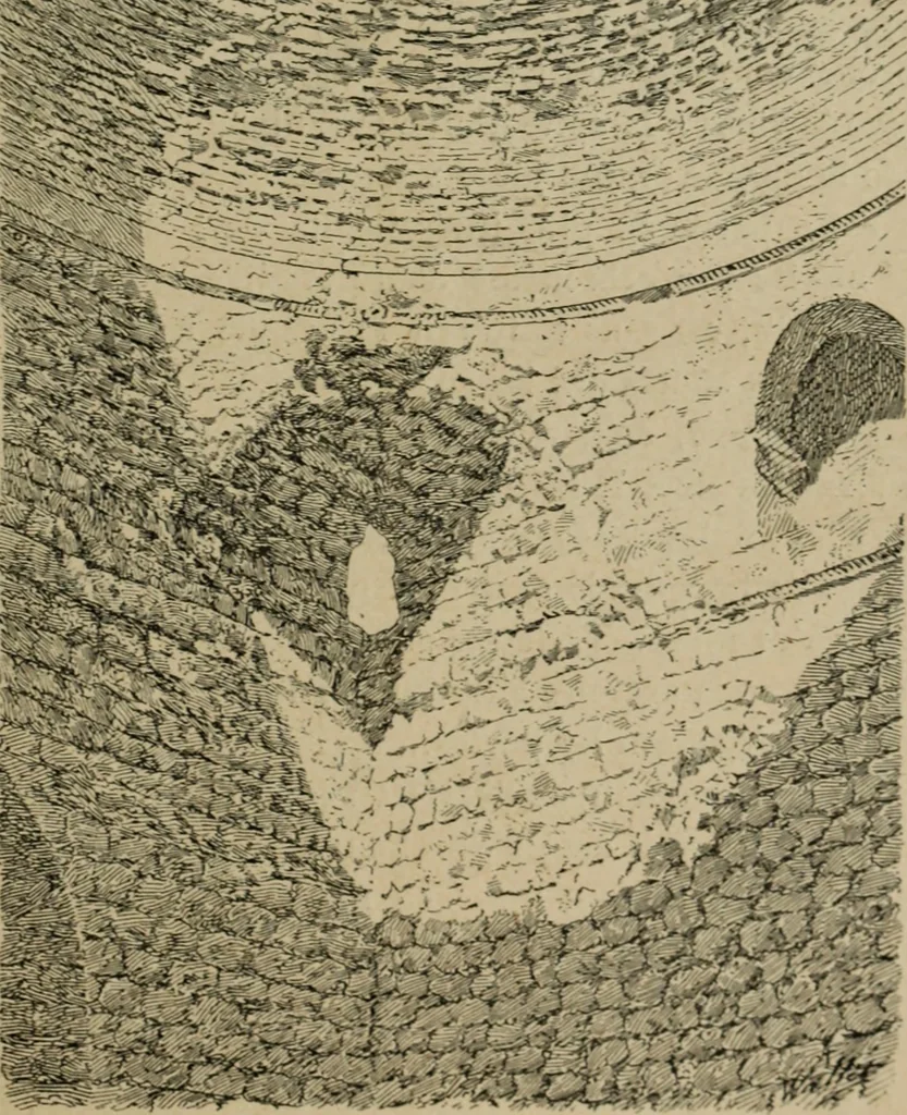 An illustration from L'architecture romane, 1888, leaf 46
