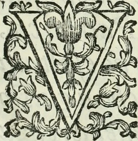An illustration from L'architetto prattico : in cui con facilta si danno le regole per apprendere l'architettura civile, 1726, leaf 12