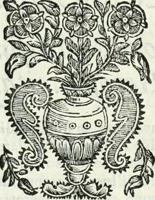 An illustration from L'architetto prattico : in cui con facilta si danno le regole per apprendere l'architettura civile, 1726, leaf 157