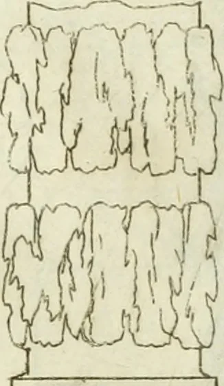 An illustration from L'architetto prattico : in cui con facilta si danno le regole per apprendere l'architettura civile, 1726, leaf 160