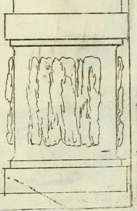 An illustration from L'architetto prattico : in cui con facilta si danno le regole per apprendere l'architettura civile, 1726, leaf 160