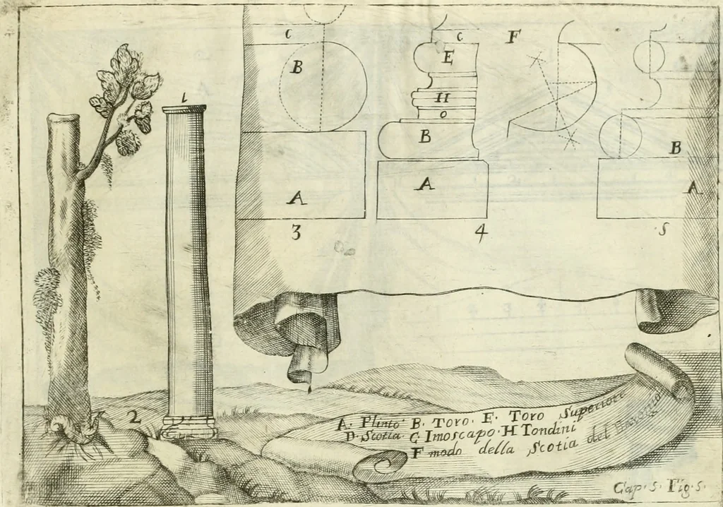 An illustration from L'architetto prattico : in cui con facilta si danno le regole per apprendere l'architettura civile, 1726, leaf 162