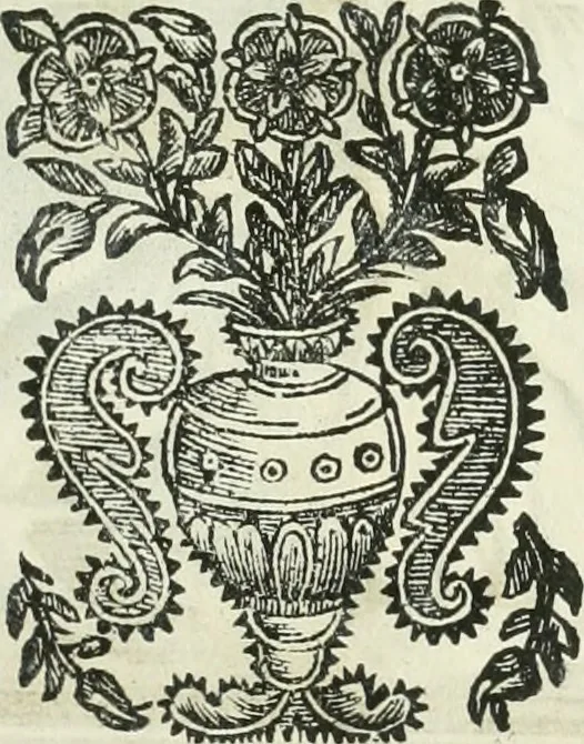 An illustration from L'architetto prattico : in cui con facilta si danno le regole per apprendere l'architettura civile, 1726, leaf 176